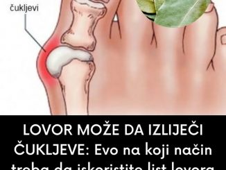 Lovorov list se od davnina koristio kao začin, ali i kao lijek