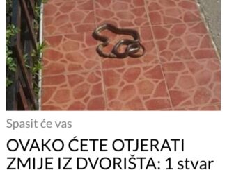 Topliji dani donose sa sobom povećanu