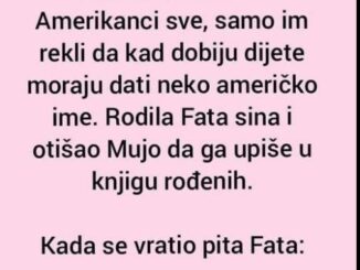 Otišli Fata i Mujo u Ameriku. Dali im Amerikanci