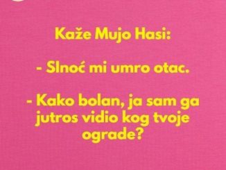 Kaže Mujo Hasi: