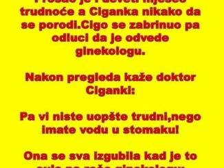 VIC: Ciganka u devetom mjesecu