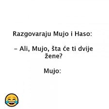 Razgovaraju Mujo i Haso: